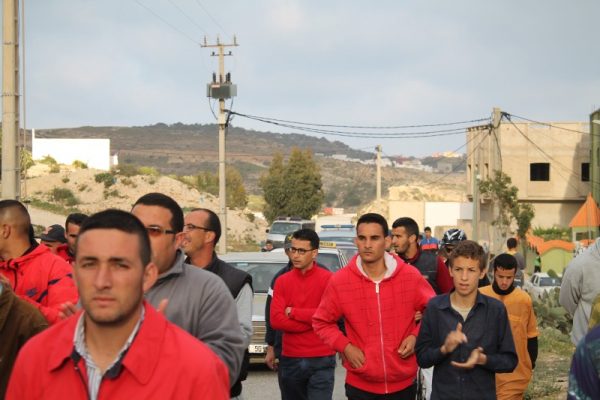 mariwari . dimarif.com (33)