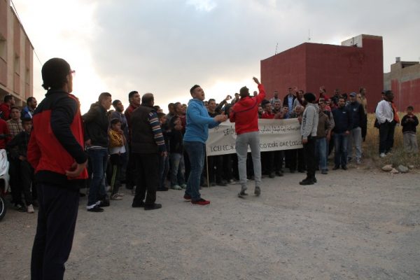 mariwari . dimarif.com (86)