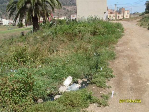 رعري (4)