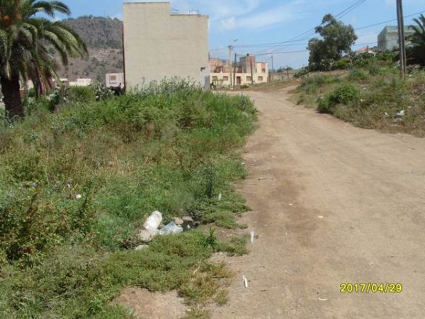 رعري (5)
