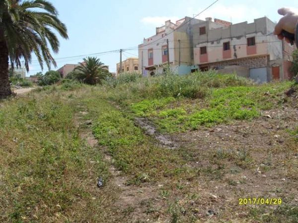 رعري