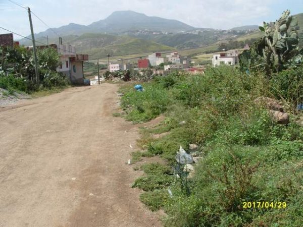 رعري (7)