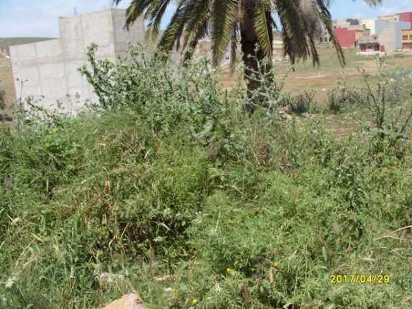 رعري (9)