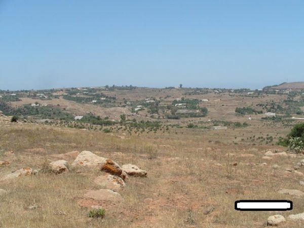 S1058094