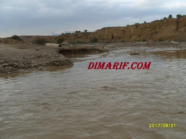 S1058781