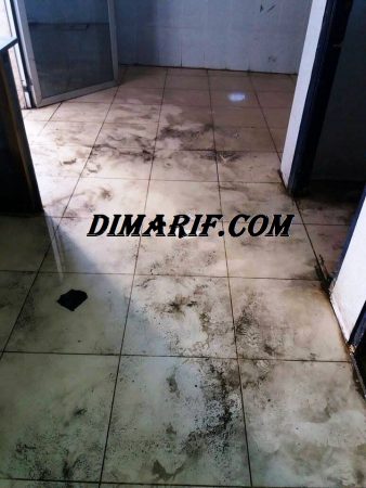 22883024_147005346033001_1086785285_n