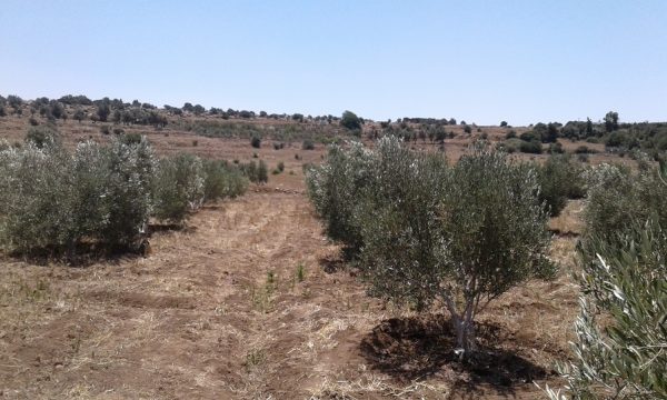 20170708_132301