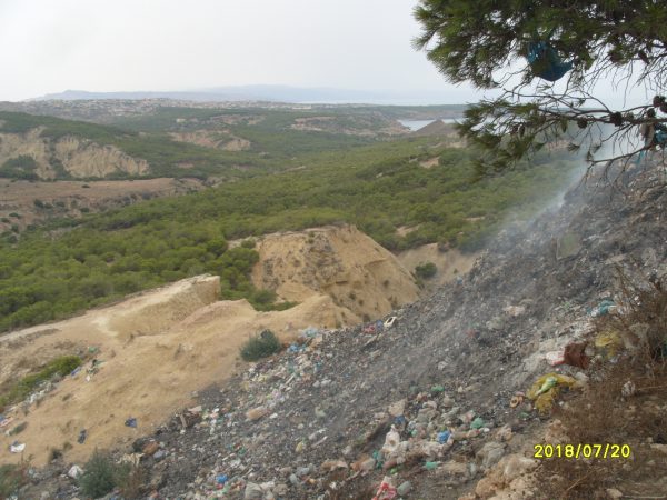 S1059736
