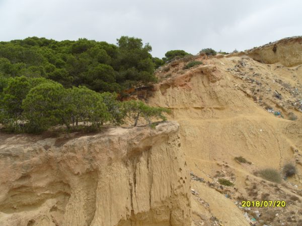 S1059773