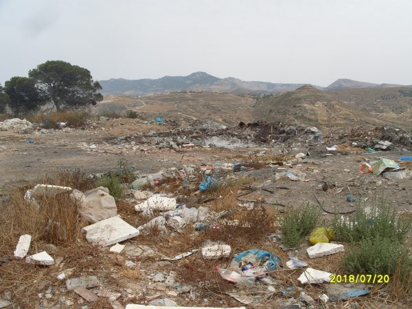 S1059817