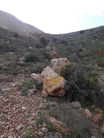 جبل بقار جماعة وكسان بني بويفرور (138)
