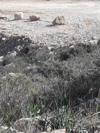 جبل بقار جماعة وكسان بني بويفرور (146)
