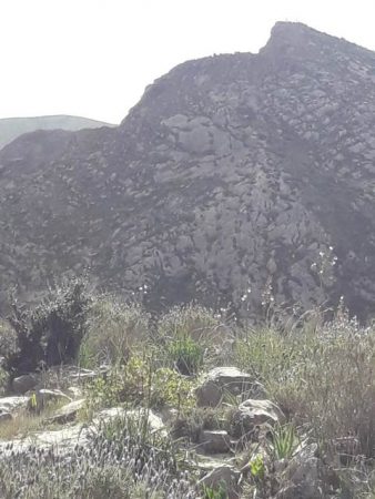 جبل بقار جماعة وكسان بني بويفرور (150)