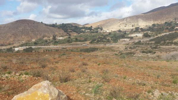 جبل بقار جماعة وكسان بني بويفرور (22)