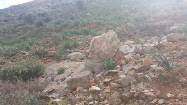 جبل بقار جماعة وكسان بني بويفرور (23)