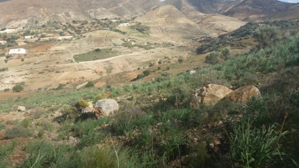 جبل بقار جماعة وكسان بني بويفرور (28)