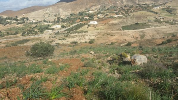 جبل بقار جماعة وكسان بني بويفرور (29)