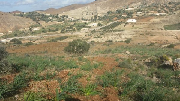 جبل بقار جماعة وكسان بني بويفرور (30)