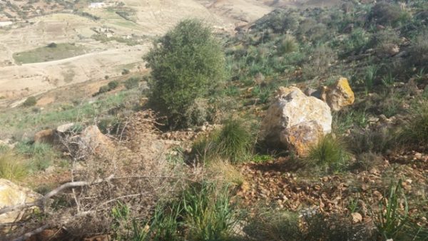 جبل بقار جماعة وكسان بني بويفرور (32)