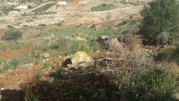 جبل بقار جماعة وكسان بني بويفرور (33)