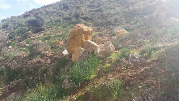 جبل بقار جماعة وكسان بني بويفرور (34)