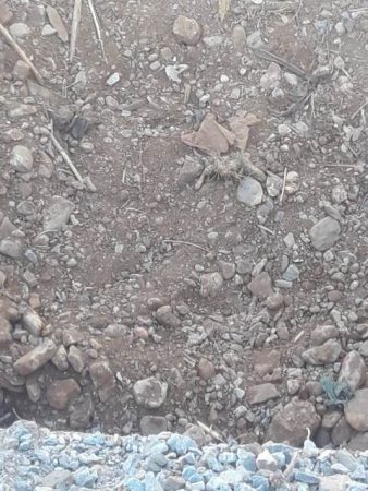 كواليس جهوية الناظور (141)