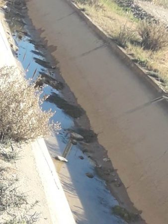 كواليس جهوية الناظور (148)