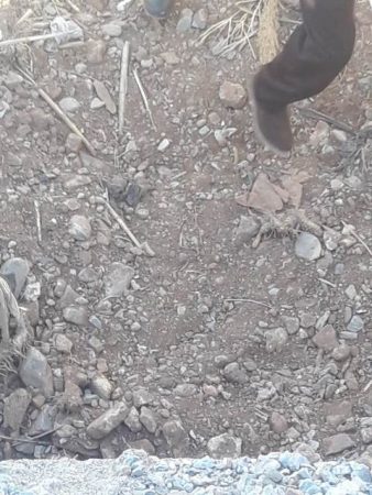 كواليس جهوية الناظور (62)