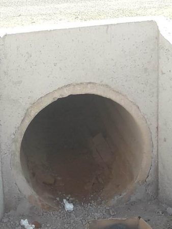 كواليس جهوية الناظور (95)