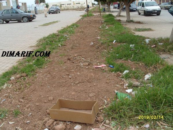 dimarif.com.arekman (4)